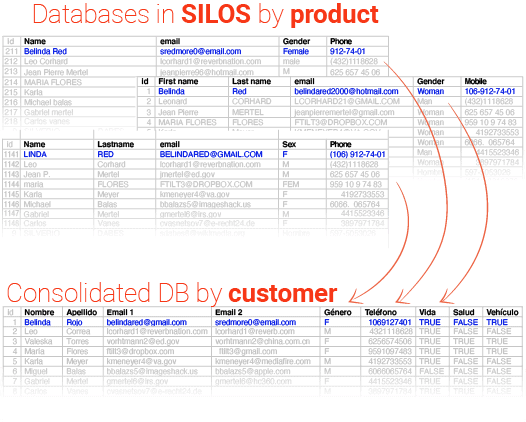 Customer centric data model