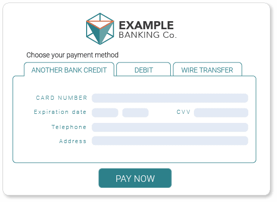 collections - digital operations as a service - payment methods | DANAConnect collections - digital operations as a service - payment methods | An Outsourcing Service for Digital Collection Operations | collections - digital operations as a service - payment methods